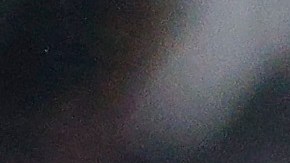 ¿Wander Franco perdonado por MLB? Tampa Bay Rays volvieron a colocar al dominicano en roster de 40