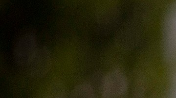 Incremento COLA Seguro Social