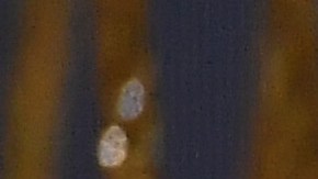 Messi habla al público luego de ganar su 8vo Balón de Oro.