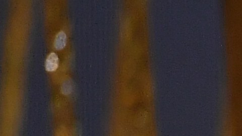 Messi habla al público luego de ganar su 8vo Balón de Oro.