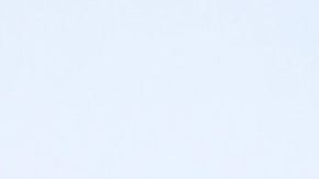 En la imagen aparece la hija de Luis Miguel y Stephanie Salas, Michelle Salas.