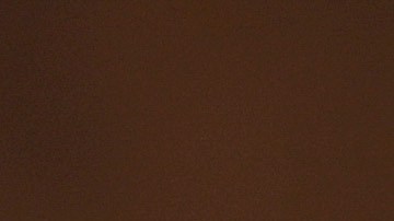 El senador Hawley no solo pidió prohibir TikTok, sino también cualquier aplicación controlada por su empresa matriz, ByteDance.