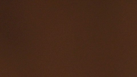 El senador Hawley no solo pidió prohibir TikTok, sino también cualquier aplicación controlada por su empresa matriz, ByteDance.