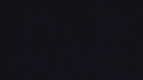 Vicente Fernández Jr y Mariana Gonzáles se casaron por bienes separados.