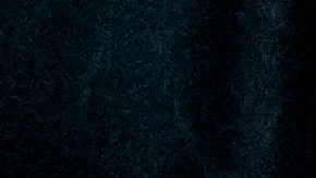 Los dinosaurios desaparecieron hace 66 millones de años.