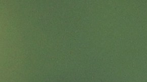 Tiger Woods regresa a la acción en el Hero World Challenge: "Mi juego está oxidado por no jugar"