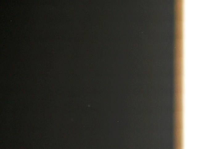 Rosalía y Björk esperan ayudar a la fauna de Islandia con su nuevo tema.