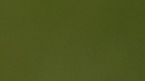 Cuatro jugadores de Polonia expulsados del Mundial Sub 17 por llegar ebrios a la concentración