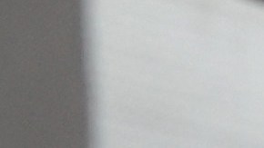 Las visas H-2B ayudan a empresas de EE.UU. que necesitan mano de obra.