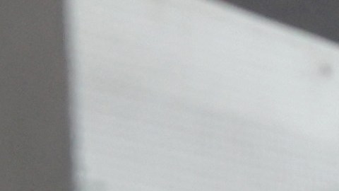 Las visas H-2B ayudan a empresas de EE.UU. que necesitan mano de obra.