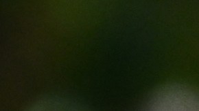 Hunter Biden Goes To Court To Plead Guilty To Tax Violations