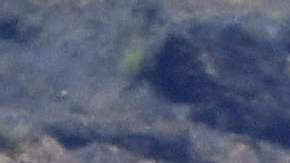 Agresivos incendios en Hawaii.