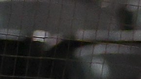 Oakland Athletics a Las Vegas: Dueños de los equipos de MLB aprueban la mudanza