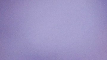 Randy Arozarena, jugador de los Tampa Bay Rays.