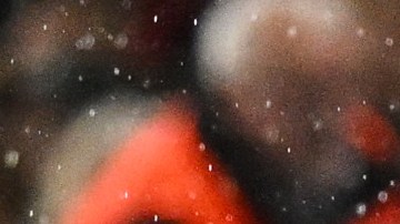 El entrenador argentino afirmó que siempre busca la unión de sus equipos.