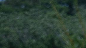 Los ecuatorianos residentes en EE.UU. podrán evitar que sus familias corran riesgos migrando irregularmente.