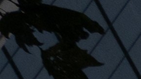 La gran cantidad de lluvia "definitivamente causará cierta preocupación" y es posible que se emitan algunas advertencias de inundaciones repentinas.