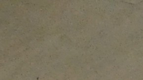 Dibujos Miguel Ángel