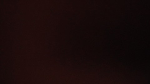 Zinedine Zidane, exjugador de fútbol.