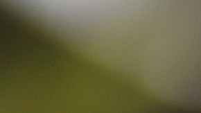 Scottie Pippen, exjugador de la NBA.