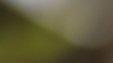 Scottie Pippen, exjugador de la NBA.