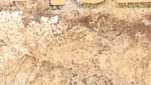 Sofía Vergara desfilando por una alfombra roja.