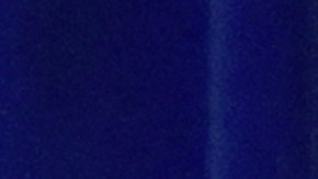 Policía Metropolitana de Las Vegas