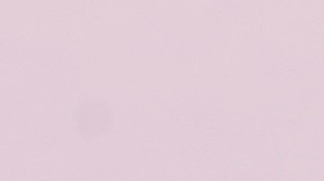 Selena Gómez posando en la alfombra roja de un evento benéfico.