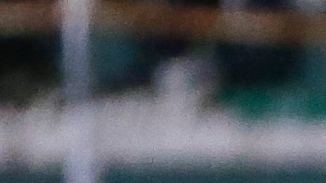 Ecuador reveló los 26 nombres para lo duelos de Eliminatoria frente a Venezuela y Chile