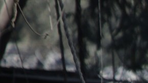 Israel y Hamás acuerdan una pausa y liberar a algunos rehenes, según el Washington Post