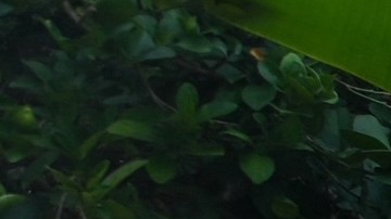 Guerrero, uno de los estados más peligrosos de México.