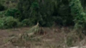 López Obrador promete "poner de pie" a Acapulco para Navidad