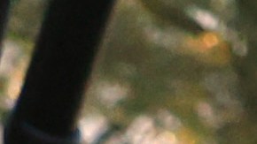 El senador Menéndez ha mantenido su inocencia y confía en su total exoneración.