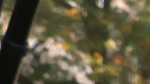 El senador Menéndez ha mantenido su inocencia y confía en su total exoneración.