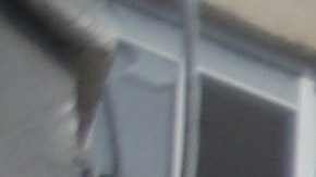 Israel bombardeó directamente siete instalaciones de agua y estas sufrieron graves daños.