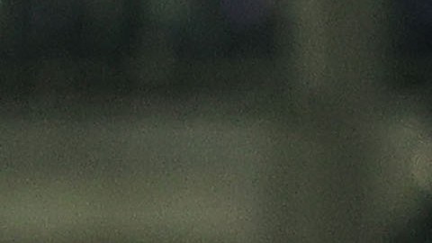 Gianluca Scamacca fue la gran figura de la Serie A este fin de semana.