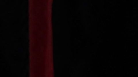 Leonor, con su padre el Rey de España.