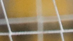 Christiane Endler durante un encuentro de los Juegos Panamericanos.