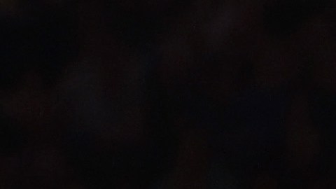 El jugador se ha convertido en el principal objetivo de las próximas temporadas para los Knicks.