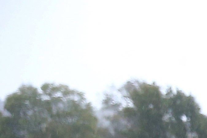 El agua inunda un viñedo de Burdeos en Portets, suroeste de Francia, después de que la tormenta Ciaran azotara Europa occidental el 3 de noviembre de 2023. (Foto de ROMAIN PERROCHEAU/AFP vía Getty Images)