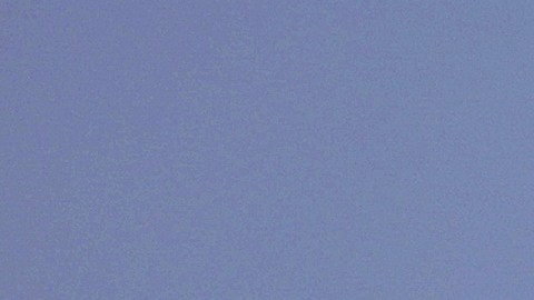 EE.UU., Israel y otros países crearon un grupo de trabajo para cortar el financiamiento a Hamás