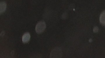 Anthony Taylor en el partido entre los Wolverhampton Wanderers y el Newcastle United.