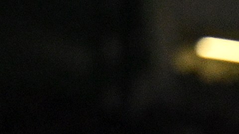 Erling Haaland, delantero del Manchester City.