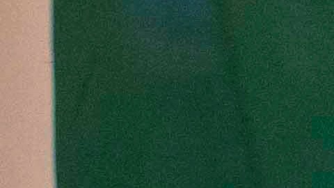 Arrodillado por el Maracaná: Fanáticos de Fluminense pagan sus promesas tras ganar la Libertadores