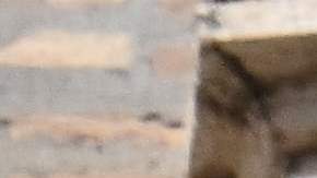 El Papa Francisco ha hecho un llamado a una respuesta unida entre los obispos de Filipinas para contrarrestar la creciente prevalencia de la masonería.