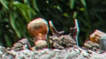 Fuerzas militares de Colombia: "Están dadas las condiciones para liberación del padre de Luis Díaz"