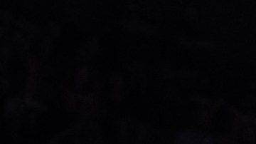 Victor Wembanyama hace una clavada sobre Drew Eubanks.