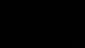 En un evento en Houston, Texas, Trump hizo su entrada al ritmo de "God Bless the USA" de Lee Greenwood.