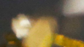 Fluminense, actual campeón de la Copa Libertadores.