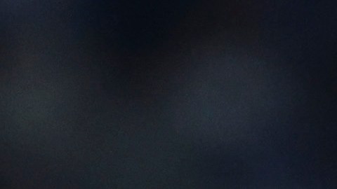 El entrenador de los Xolos de Tijuana consideró que el arbitraje fue el culpable de la derrota de su equipo.